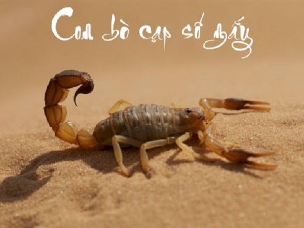 bo cap so may